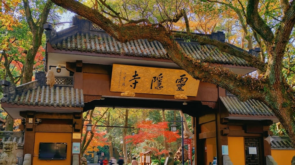 1-Day Shanghai to Hangzhou Lingyin Temple,West Lake Cruise,Leifeng Pagoda,Song Dynasty Tea