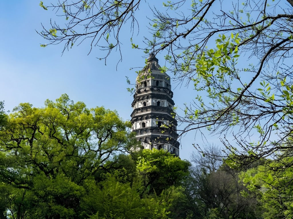 1-Day Shanghai to Suzhou Humble Administrator's Garden,Tiger Hill,Xiyuan Temple(private)