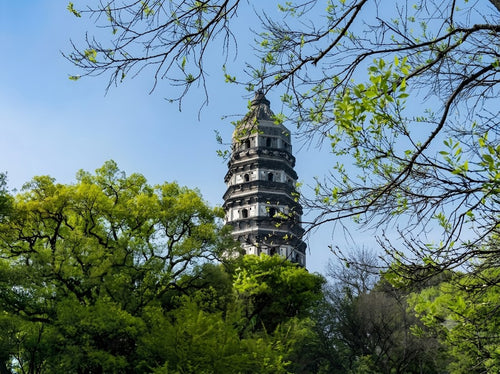 1-Day Shanghai to Suzhou Humble Administrator's Garden,Tiger Hill,Xiyuan Temple(private)